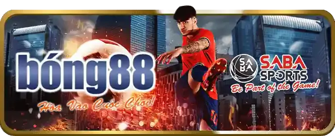 Sự kiện hàng tuần